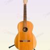 Guitarra Intermedia