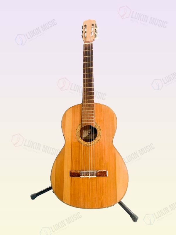 Guitarra Intermedia