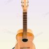 Guitarra Intermedia