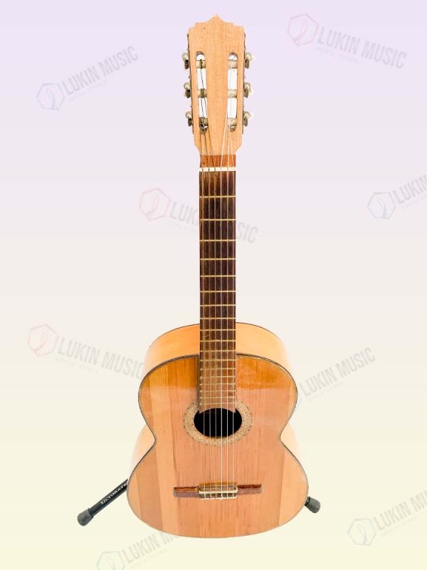 Guitarra Intermedia