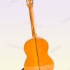 Guitarra Intermedia