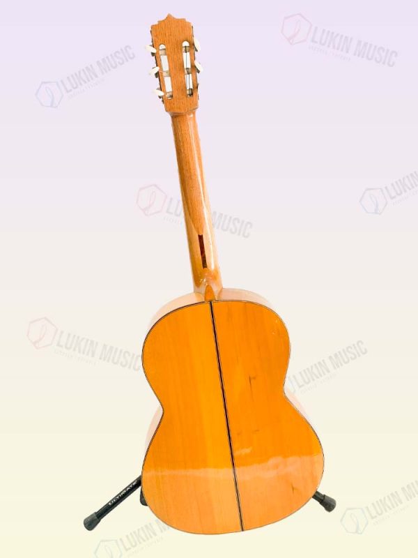 Guitarra Intermedia