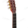 Guitarra Electroacustica La Sevillana