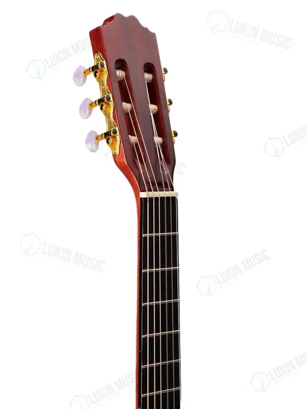 Guitarra Electroacustica La Sevillana