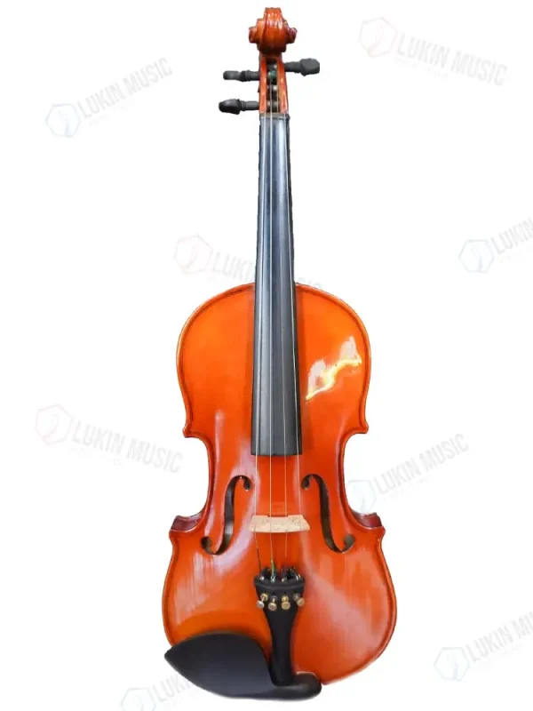 Violín Pearl River 4/4 Mv018 Artístico