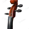 Violín Pearl River 4/4 Mv018 Artístico